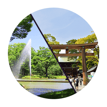 Meiji Jingu Shrine & Yoyogi Park